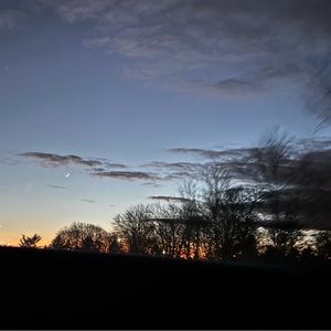 Meet your Posher, Laila